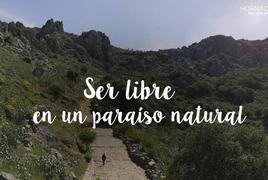 Cartel nueva Campaña Turismo