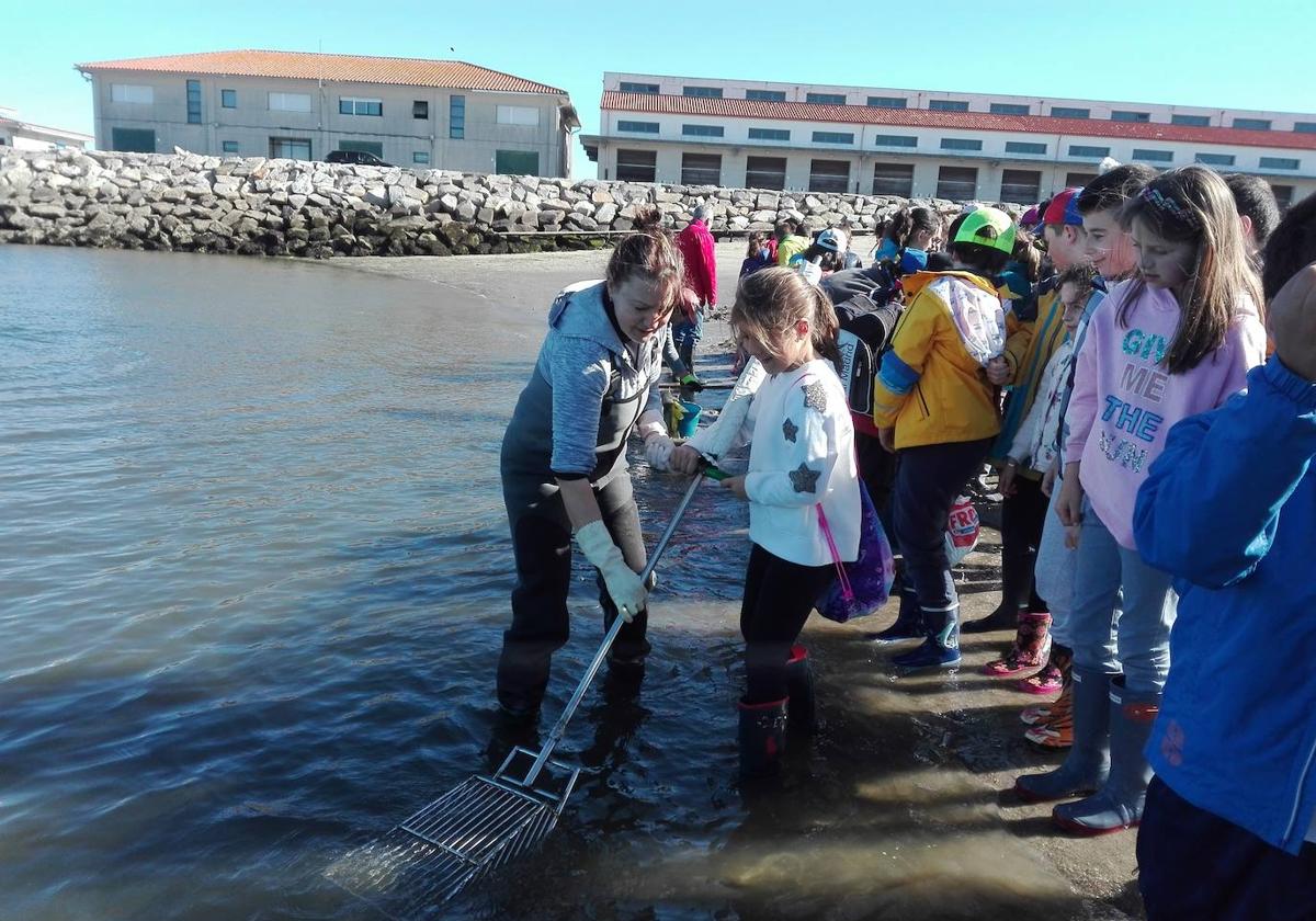 Lourdes Corvo hornachega en Galicia, presidenta de las mariscadoras en Vilaxoán, Vilagarcía de Arousa
