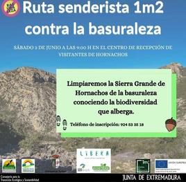 Cartel actividad