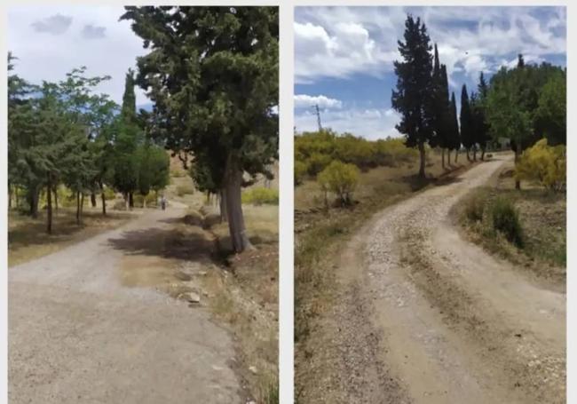 Camino escolar
