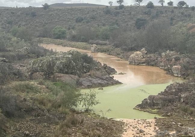 Cola Presa de los Molinos