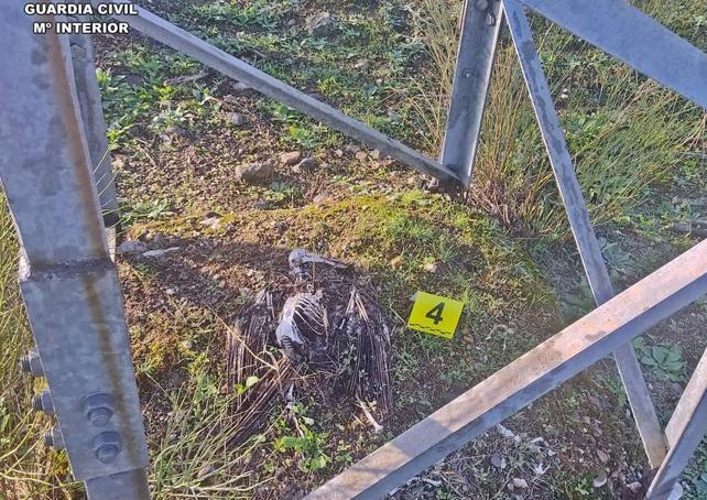 Ave electrocutada junto a torreta