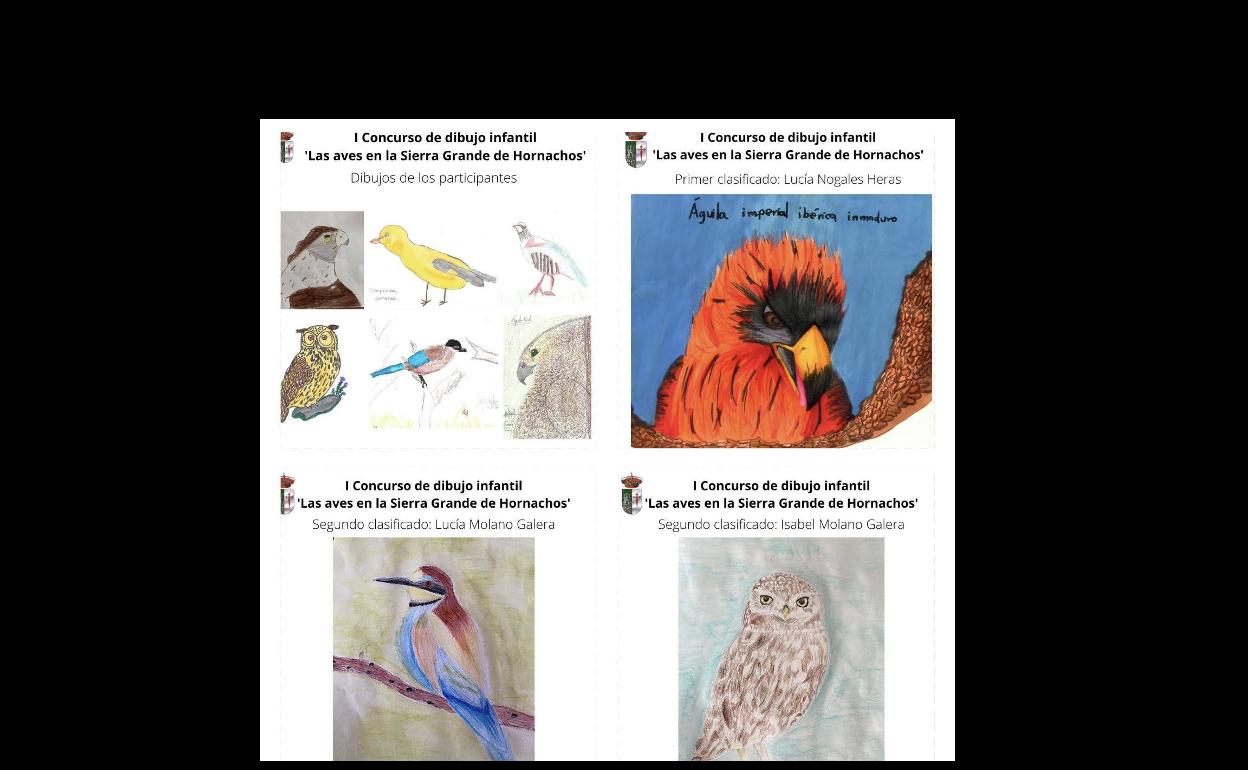 Fallado el Concurso de dibujo infantil sobre «Las aves de la Sierra de Hornachos»