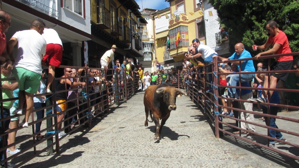Encierro de las ferias agosteñas.