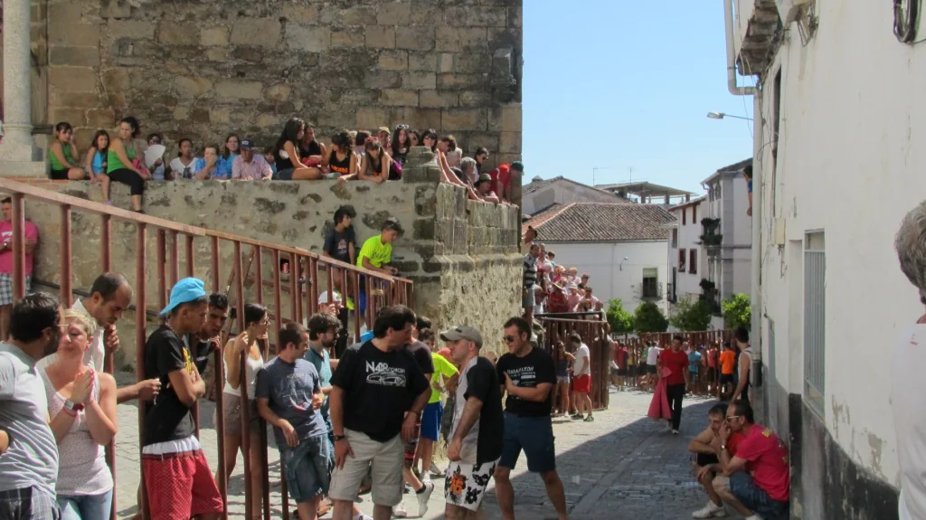 Encierro y capea al estilo verato.