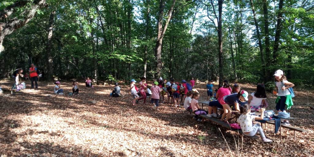 Los escolares disfrutan del medio.