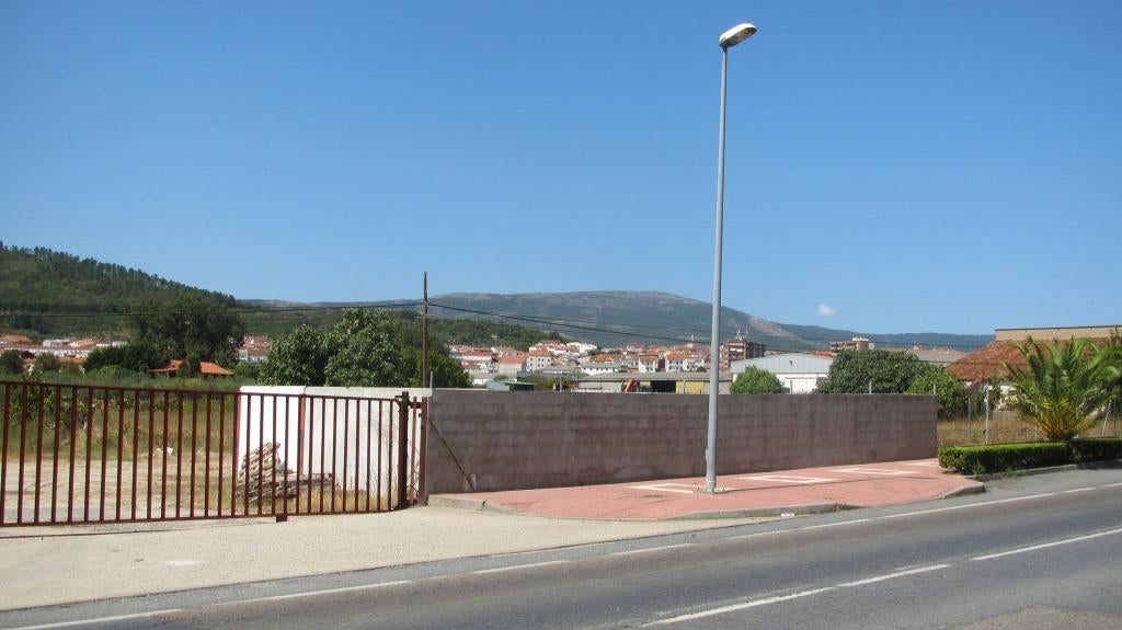 Terrenos para el nuevo instituto.
