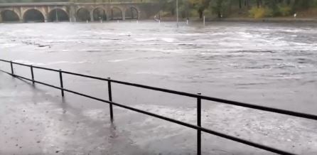 El Lago esta tarde. 