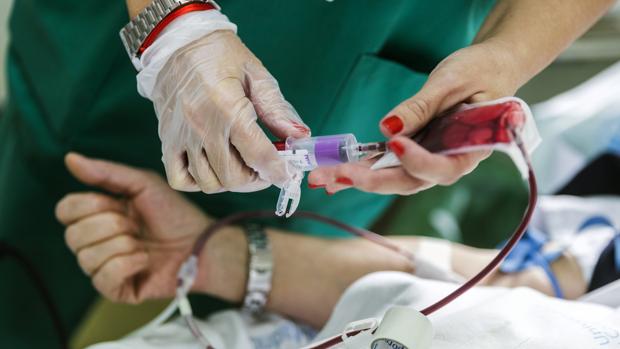 En la primera colecta del año los jaraiceños donan 132 bolsas de sangre