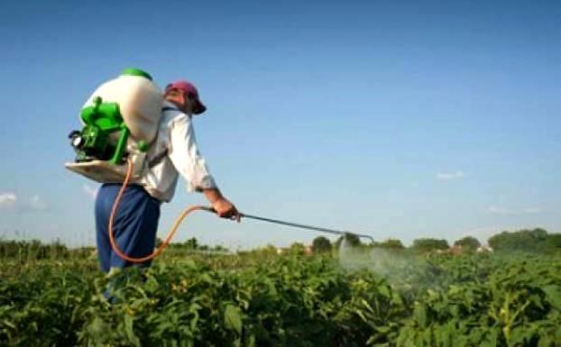 La Universidad Popular oferta un curso de aplicador de productos fitosanitarios