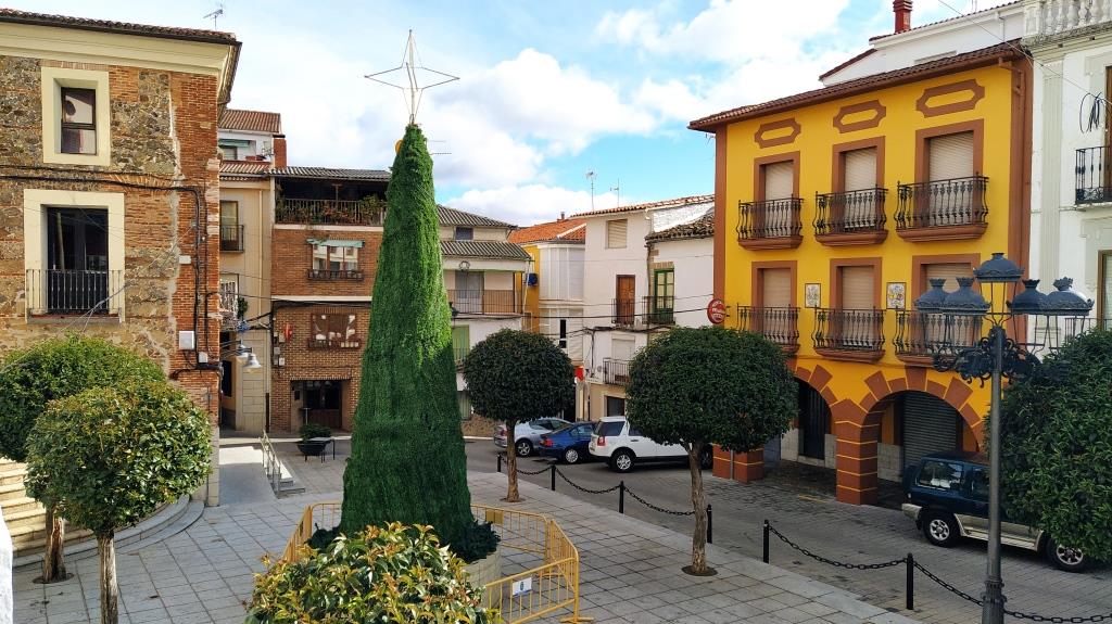 El árbol navideño colocado en la Plaza Mayor sin las luces y adornos.