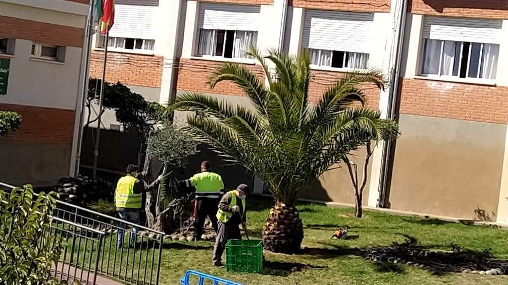47 aspirantes optan a formar parte de la bolsa de trabajo para peón de jardinería