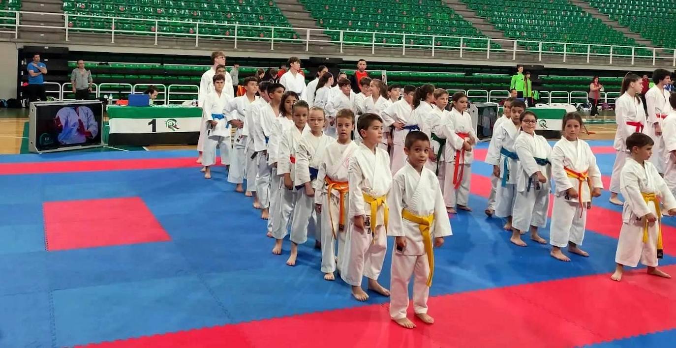 17 medallas para el Club de Karate Jaraíz en la fase final provincial de los Judex
