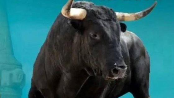 Este sábado, primer festejo taurino nocturno de la temporada