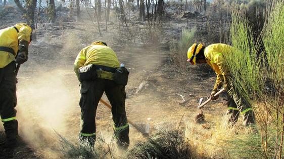 Otro verano negro para los montes públicos de Jaraíz