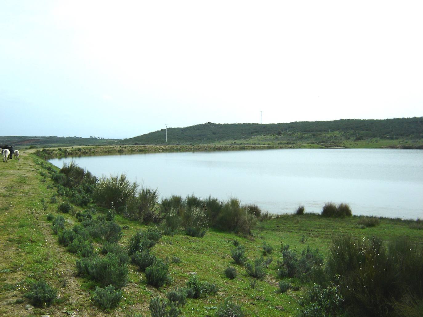 Jaraíz acoge el Campeonato de Extremadura de Salmónidos Mosca Lago-Orilla