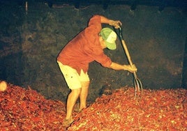Secado de pimiento con leña quercíneas.