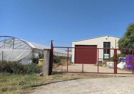 Edificaciones e invernaderos de la parcela 5-C.