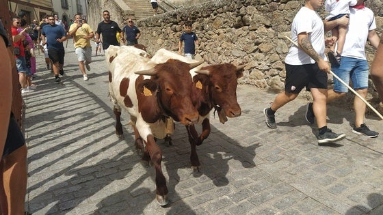 Desfile de bueyes, toros hinchables y parque infantil acuático