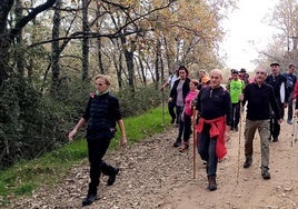 Los senderistas bajando por una zona boscosa de robles.