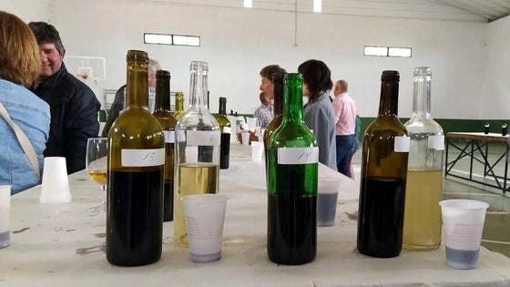Este sábado, XVIII Concurso de Vinos de Pitarra
