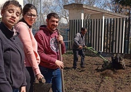 Arado de la tierra del huerto para la siembra.