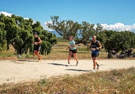 Corredores en una carrera anterior llegando a la dehesa jaraiceña.
