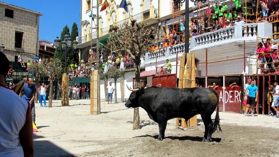 Reunión para abordar los festejos taurinos de las ferias agosteñas