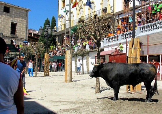 Reunión para abordar los festejos taurinos de las ferias agosteñas