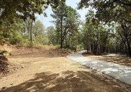 El camino de la torre de vigilancia del Infoex recientemente pavimentado.