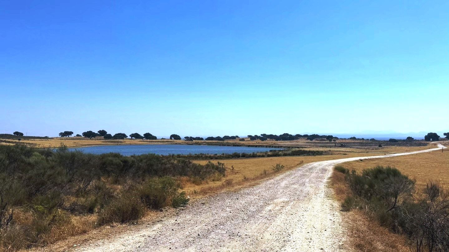 Imagen de la balsa de Tortabrevas con agua.