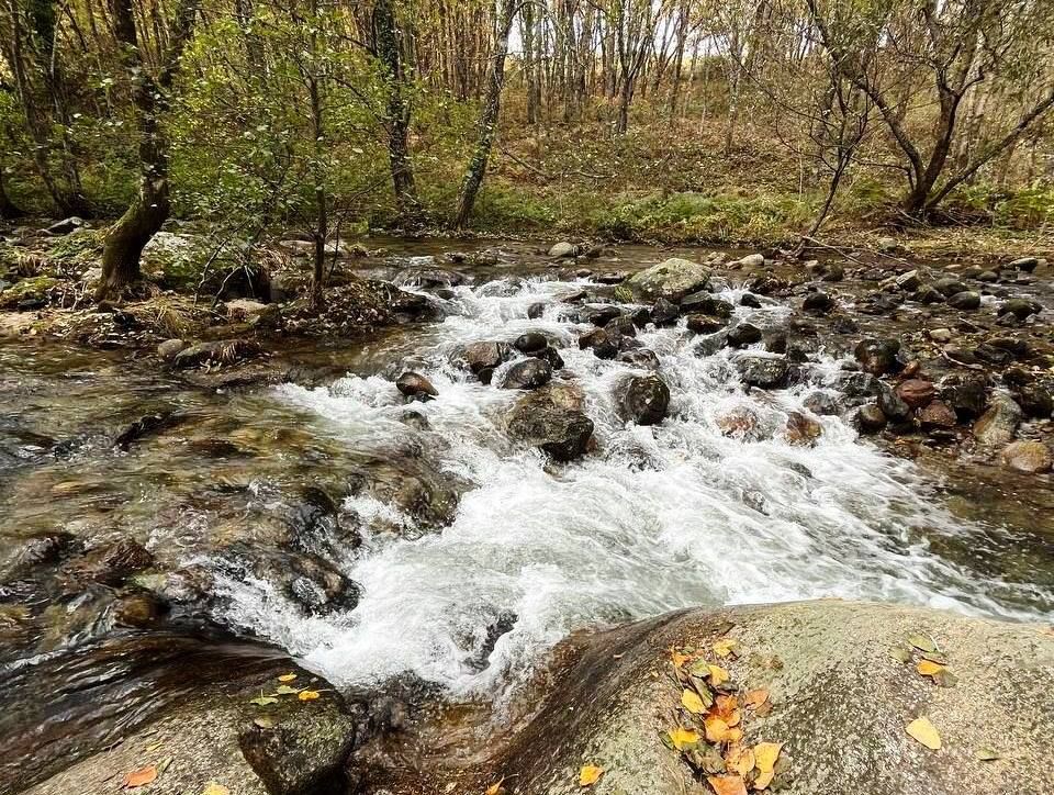 Garganta jaraiceña de Pedro Chate.