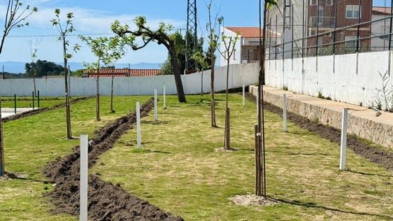 Las zonas verdes de las piscinas se dotan de un nuevo sistema de riego
