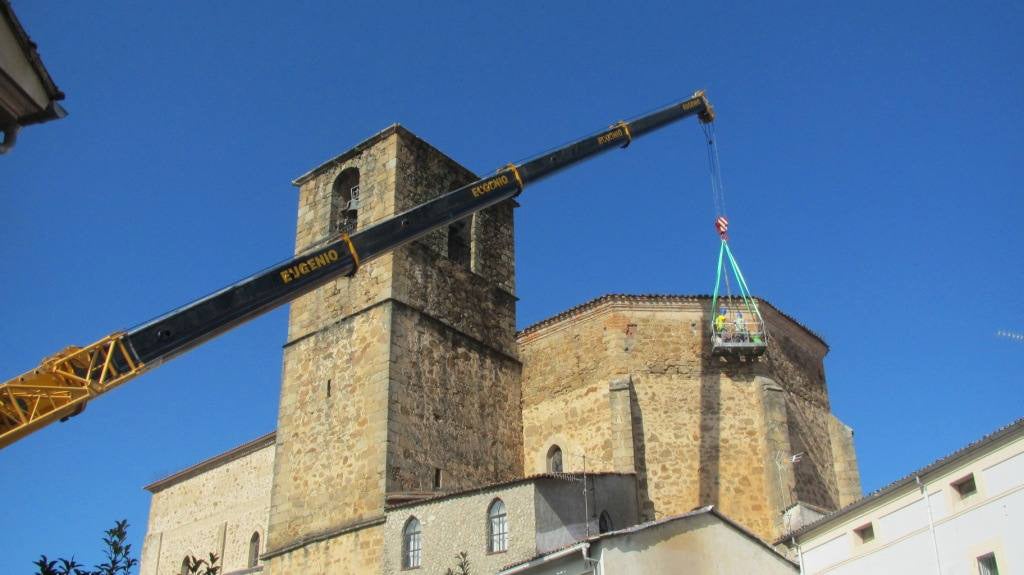 Protección de los nidos en la iglesia de San Miguel. 