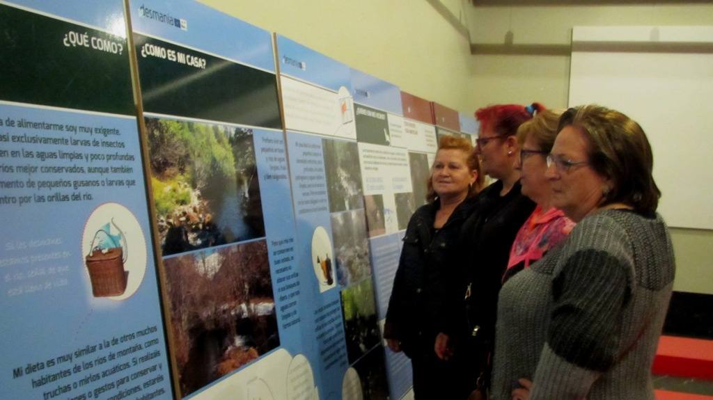 Mujeres viendo la exposición. 
