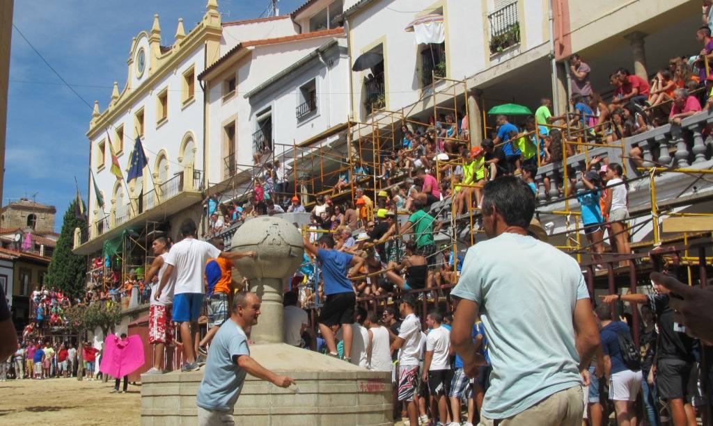 ‘Tablaos’ o graderíos de las ferias de 2015. 