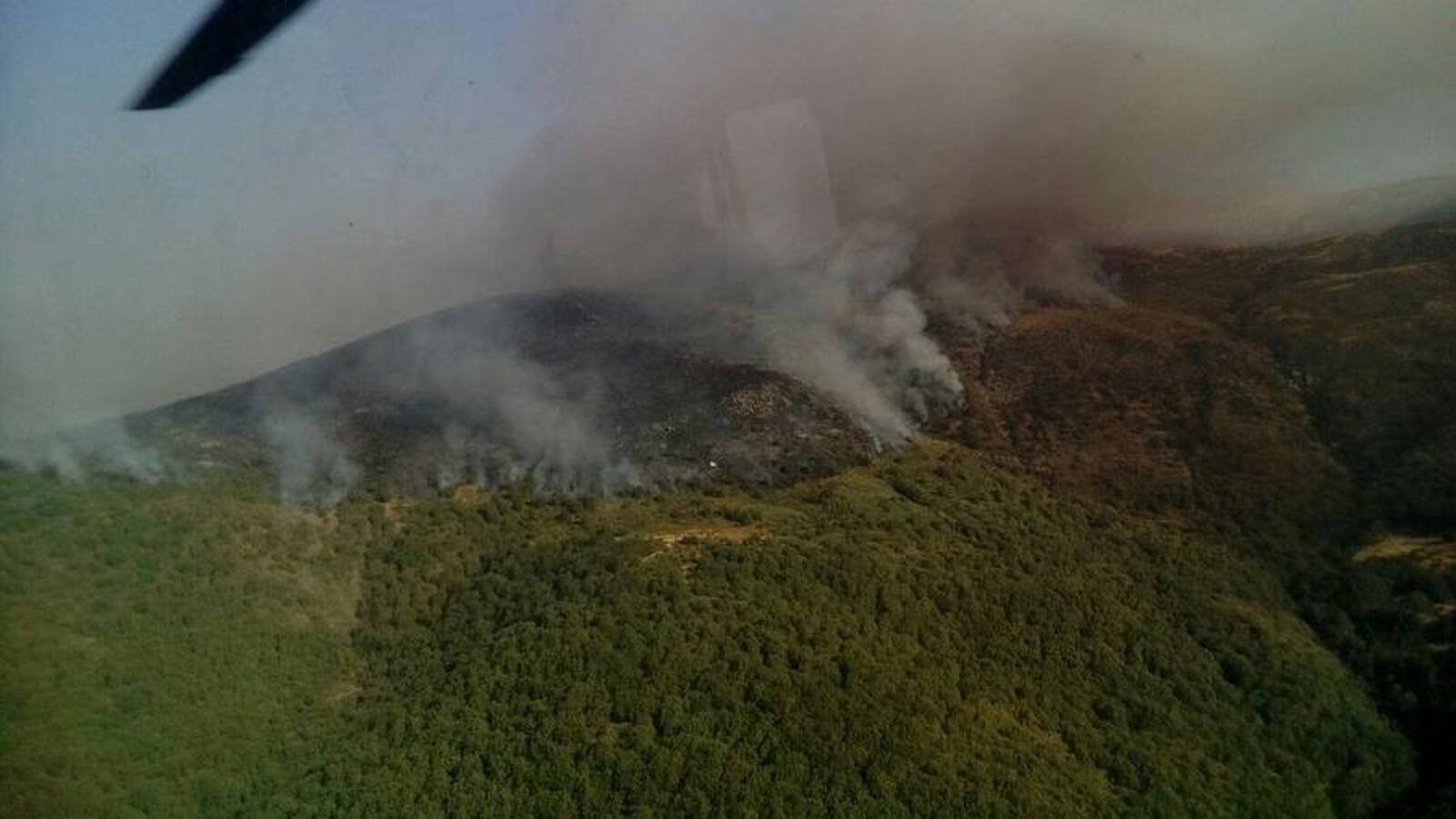 Arbolado quemándose en la sierra.