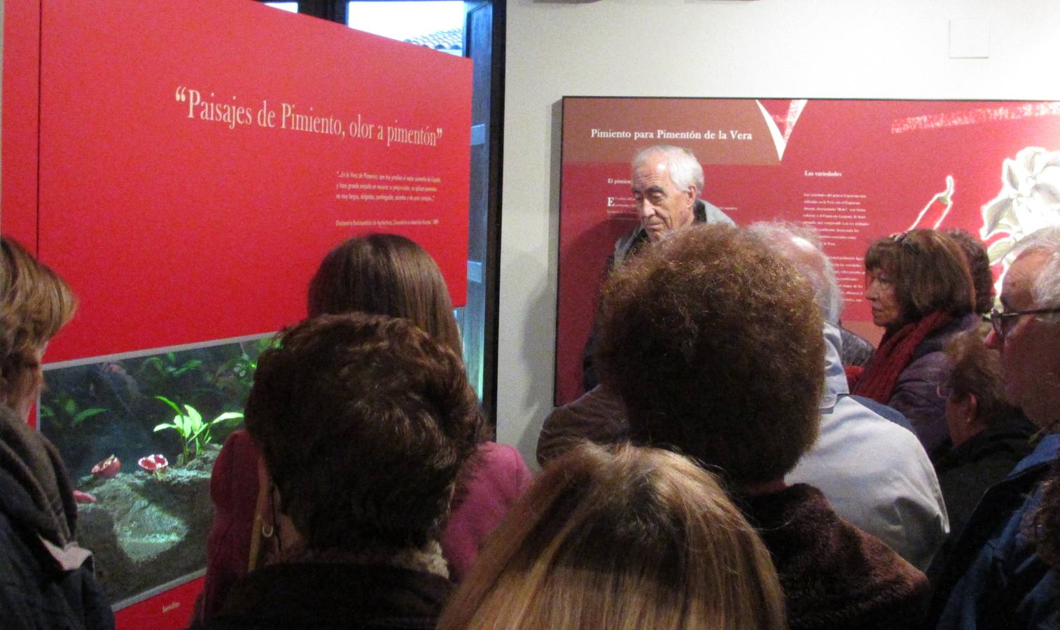 Un grupo de turistas en el Museo.