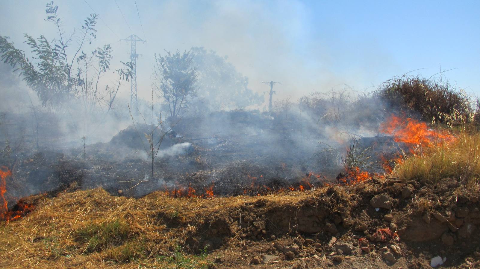 Incendio en un solar próximo al casco urbano el pasado año.