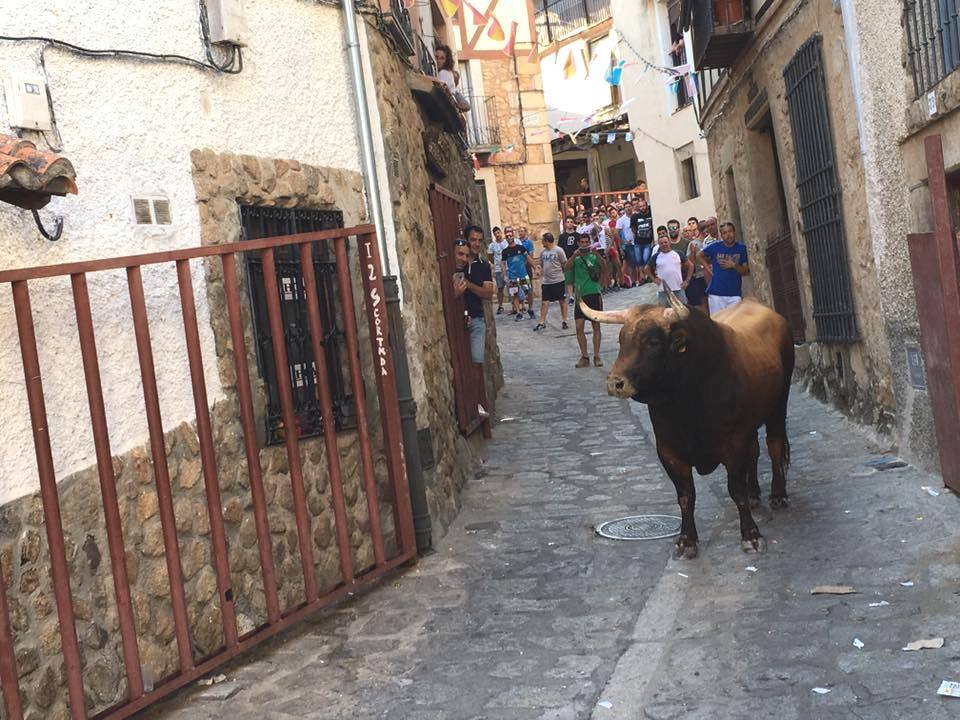 Ayuntamiento de Pasarón de la Vera.