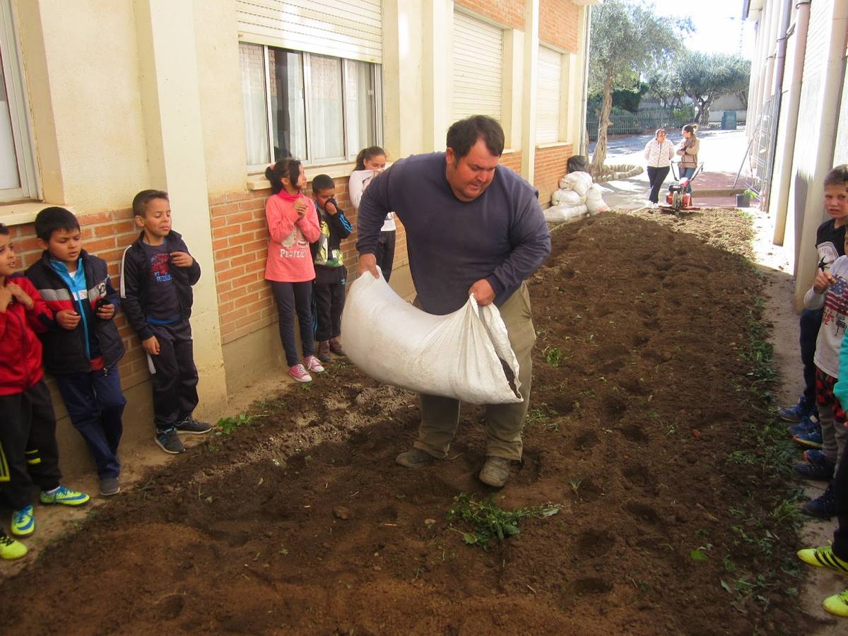Ismael F. Hernández, abonando la tierra. 