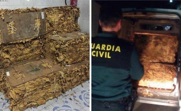 Interceptados 470 kilogramos de hoja seca de tabaco en la Vera