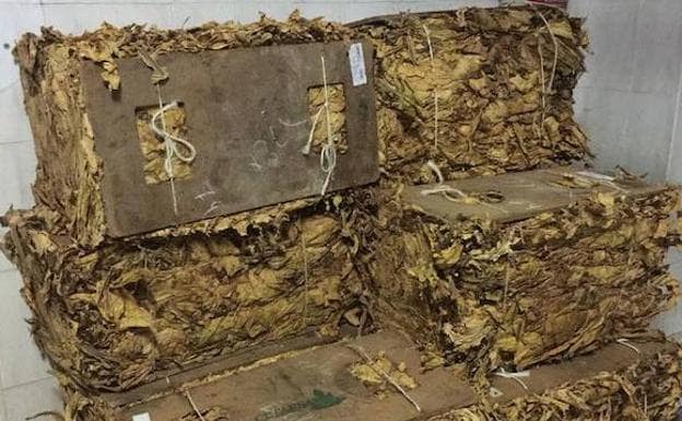 El contrabando de hoja de tabaco, otra amenaza para un sector con dificultades en Extremadura