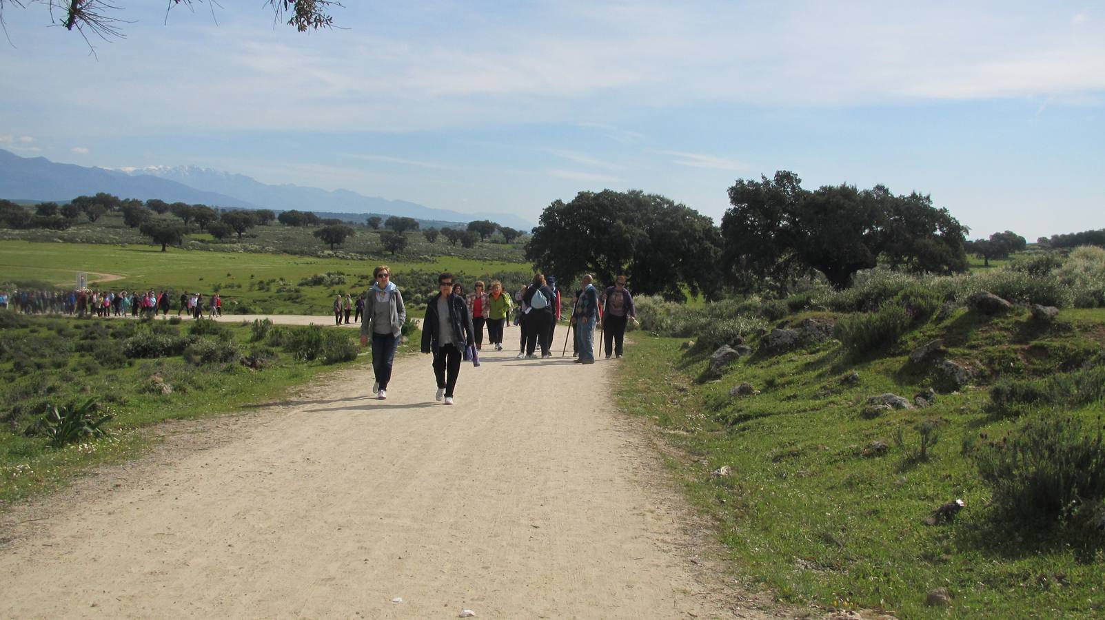 La Junta elabora un catálogo de los caminos públicos