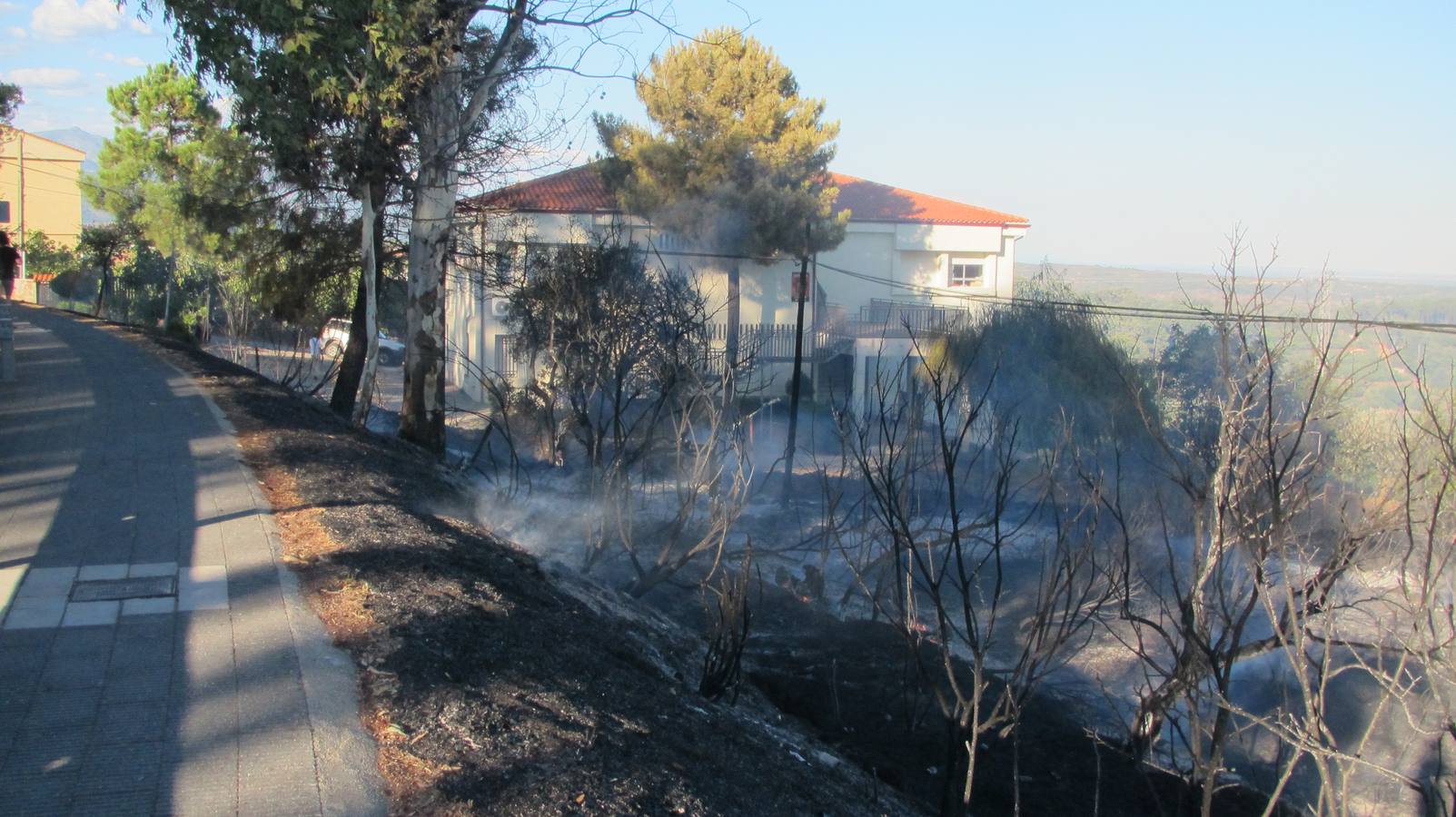 El Ayuntamiento desbroza sus solares e insta a los vecinos a hacer lo mismo para evitar incendios