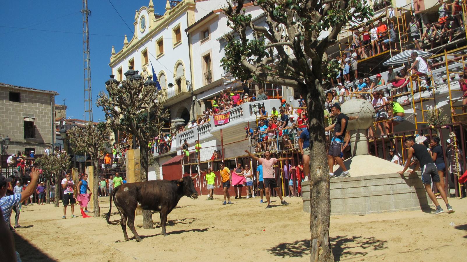 Capea al estilo verato, en la plaza Mayor. 