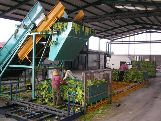 El nuevo decreto refuerza el control sobre el tabaco