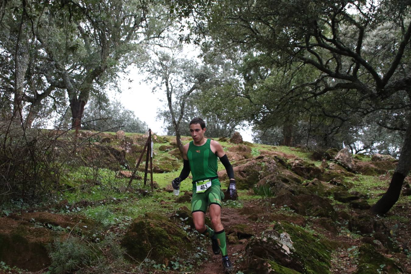 Daniel Remón Señorán, en masculino, y Beatriz González Suárez, en femenino, han sido los vencedores absolutos del I Trail Jerez de los Caballeros-Sierra San José que se ha celebrado, esta mañana, en el municipio. La prueba, de 27 kilómetros, ha contado con un circuito alternativo, de 11 kilómetros, donde el jerezano Fernando Méndez García y María Isabel González Méndez se han alzado con la victoria. Más de 200 corredores han disfrutado de esta prueba que ha conjugado deporte y naturaleza.