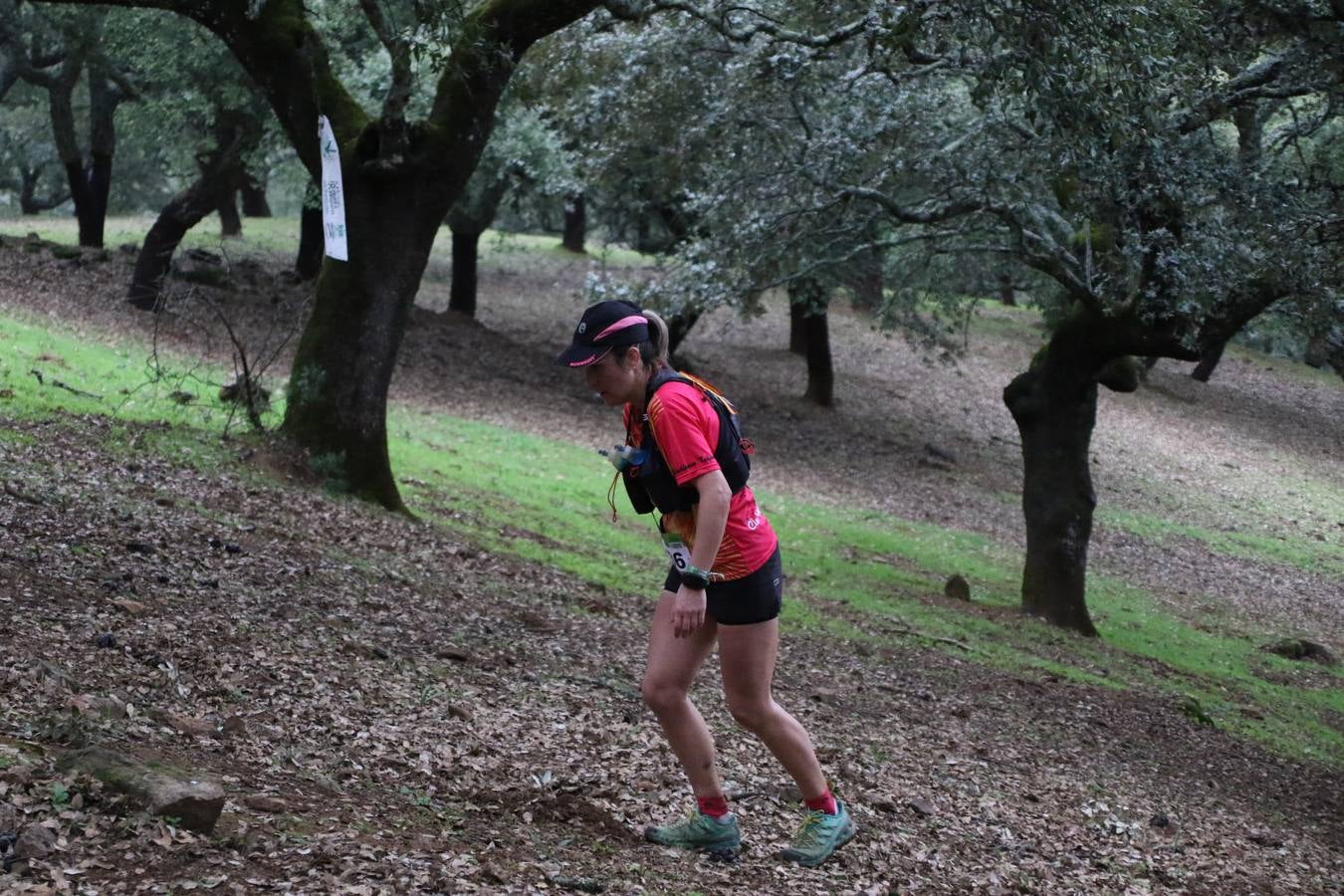 Daniel Remón Señorán, en masculino, y Beatriz González Suárez, en femenino, han sido los vencedores absolutos del I Trail Jerez de los Caballeros-Sierra San José que se ha celebrado, esta mañana, en el municipio. La prueba, de 27 kilómetros, ha contado con un circuito alternativo, de 11 kilómetros, donde el jerezano Fernando Méndez García y María Isabel González Méndez se han alzado con la victoria. Más de 200 corredores han disfrutado de esta prueba que ha conjugado deporte y naturaleza.