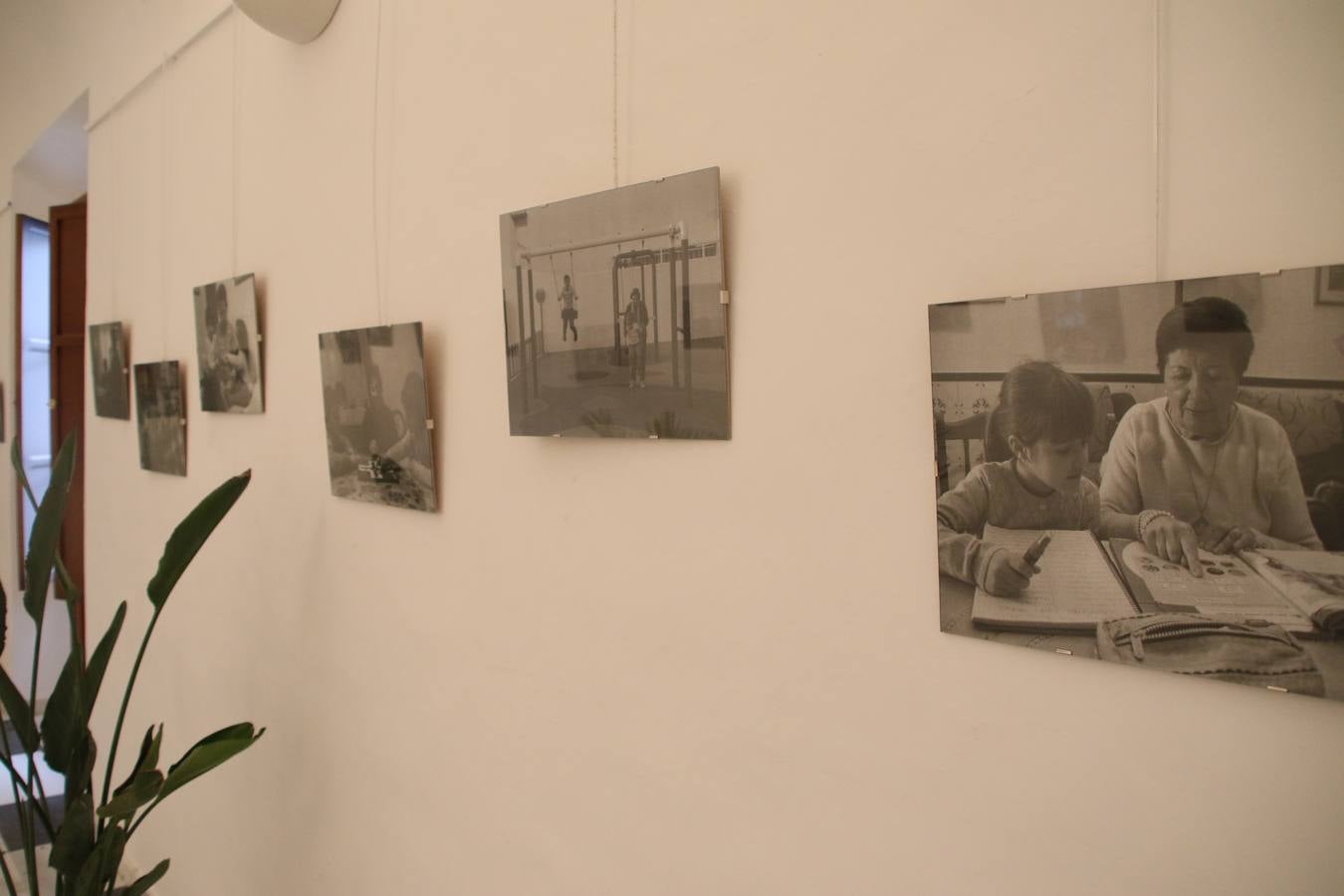 La Asociación de Mujeres Progresistas 'Felisa Tanco' inauguró, ayer, la exposición fotográfica 'Abuelas en movimiento. Instinto vital', enmarcada en los actos conmemorativos del Día Internacional de la Mujer, que se celebra hoy. Una exposición que tiene como objetivo poner en valor el papel que las abuelas juegan en la actualidad y la aportación que está teniendo en la sociedad y en la familia.